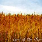 Harvesting Tabernacle